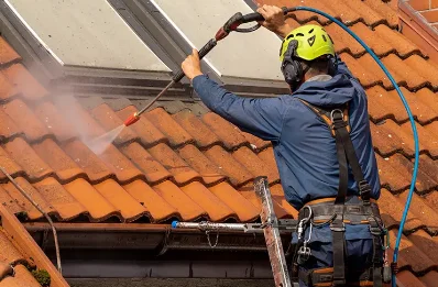 Démoussage et hydrofuge de toiture à Lonrai